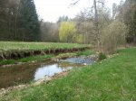 2017.04.02 Frühjahrslauf Bad Niedernau
