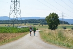 2018.07.01 Sommerlauf bei Grosselfingen